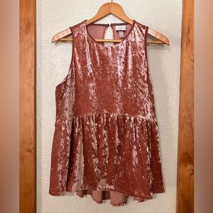 Knox Rose Blush Velvet Top